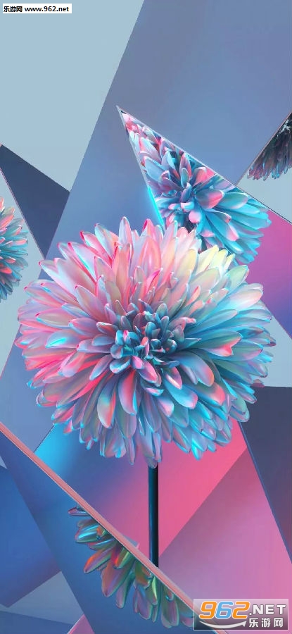 ����һ�����������ֽ