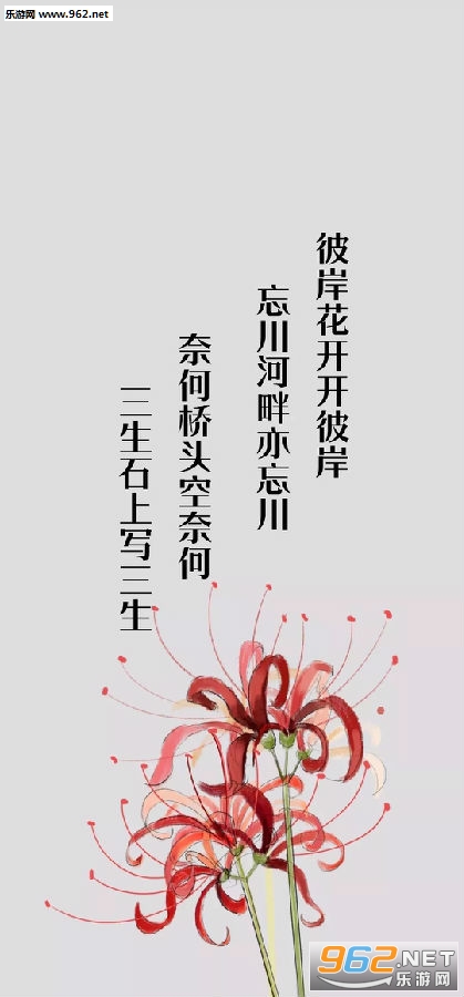 �����Զ����������ֽ
