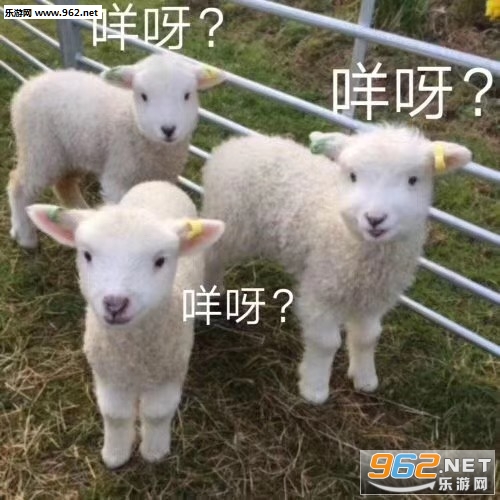 ����?�����