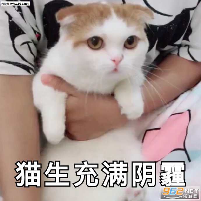 �������ô���Ϸ�����