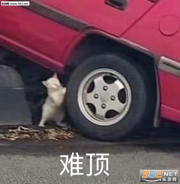 ���ɰ�������ϼ�