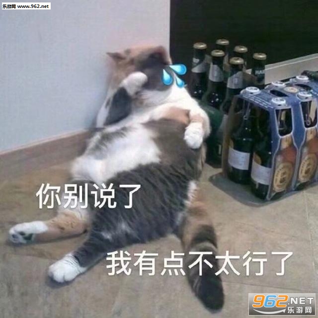 ���ɰ�������ϼ�