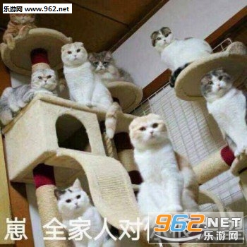 ����ÿ��Һ÷������
