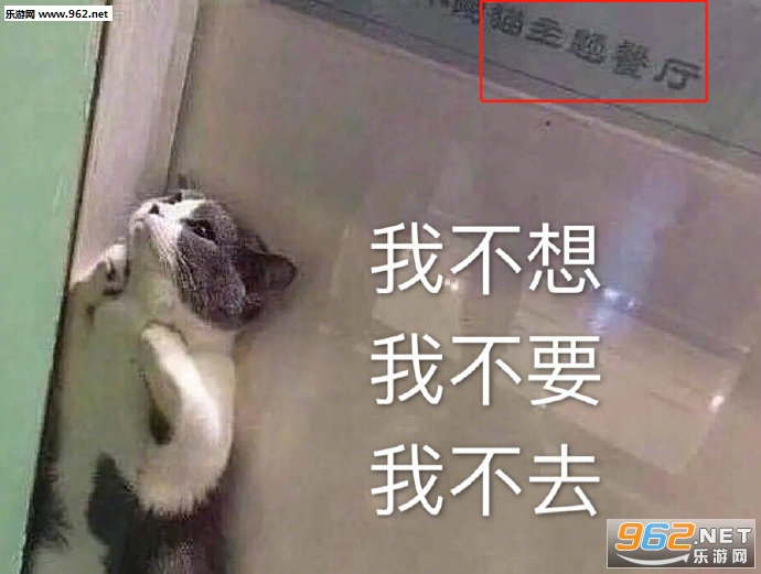 �û�������������ı����