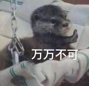 �û�������������ı����