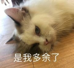 45�ȵ��������������±����