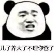 ���ǹ¶�С���������