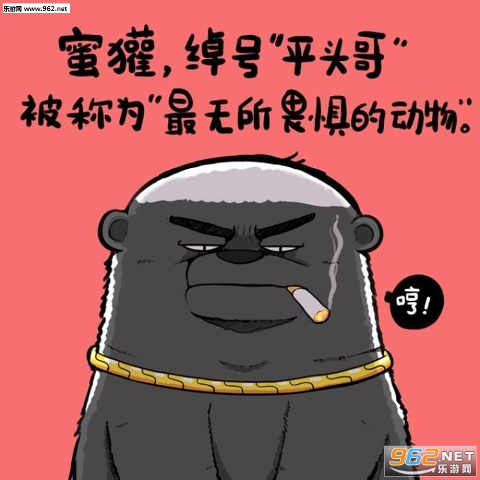�������������͸�����ͼƬ