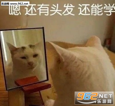 ��ֹ̧��ͼƬ�����