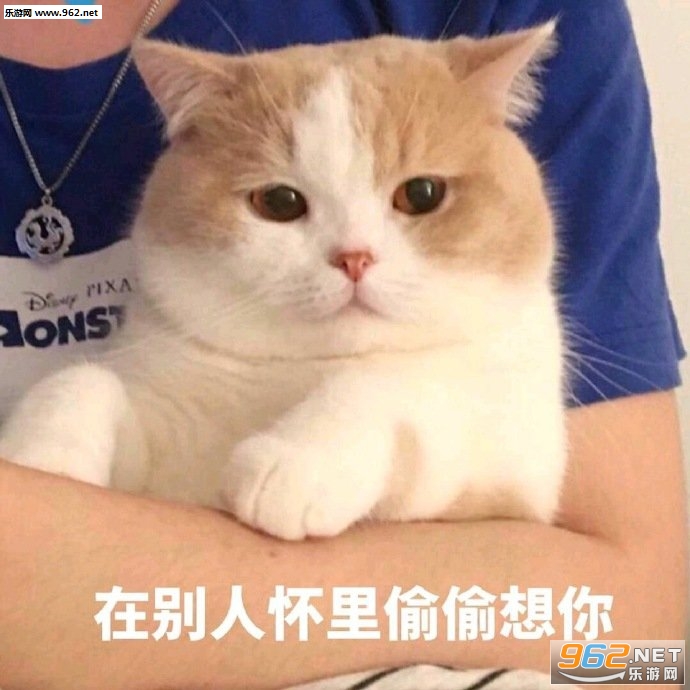 ��Ҫ���������ҵ��Ļ�ʹʹ�����