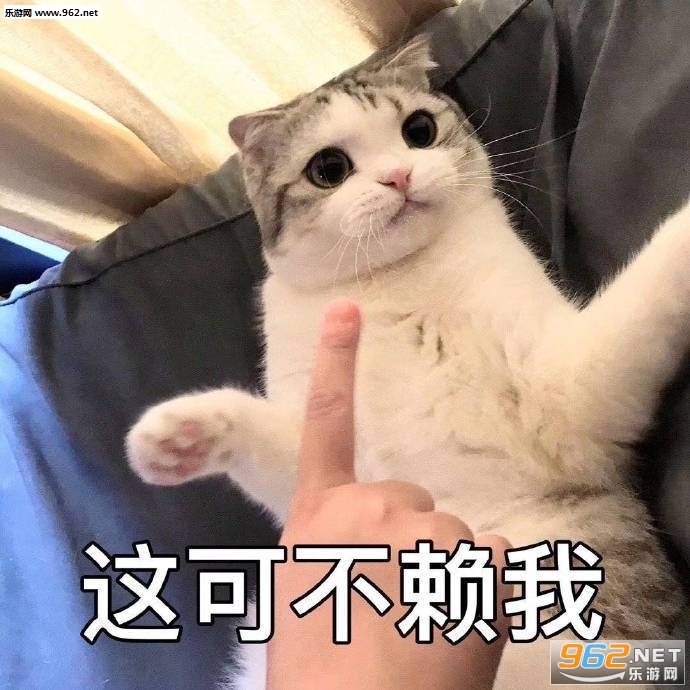 ��Ҳ�н����ͼƬ�����