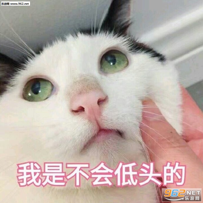 ��Ҳ�н����ͼƬ�����