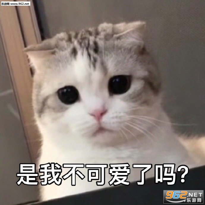 ��Ҳ�н����ͼƬ�����