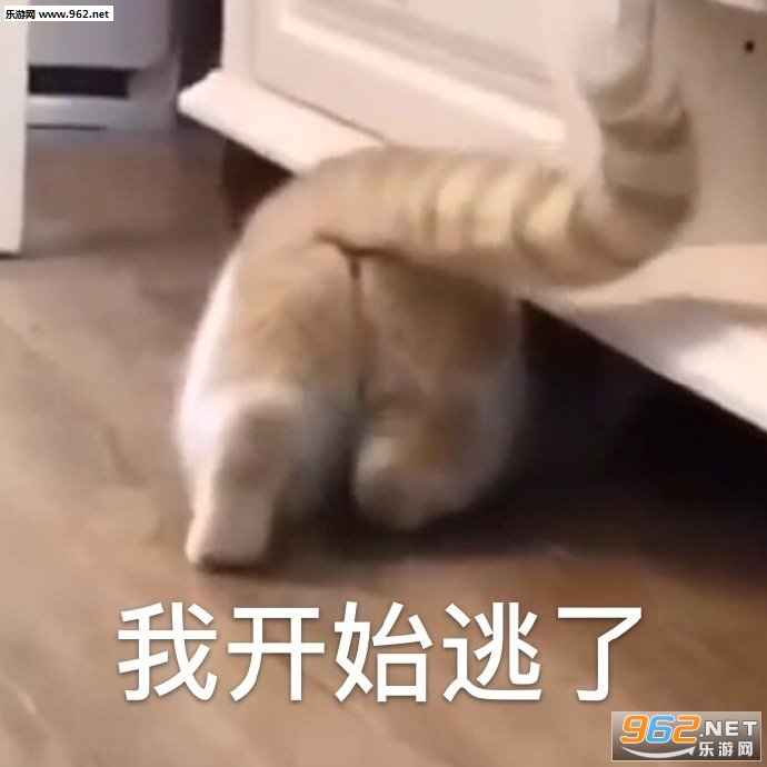 ���ﲻ���˰�ѩ���������