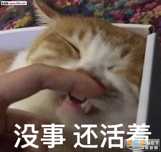 ���ﲻ���˰�ѩ���������