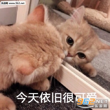 72����ʱҲ�ޱ�����
