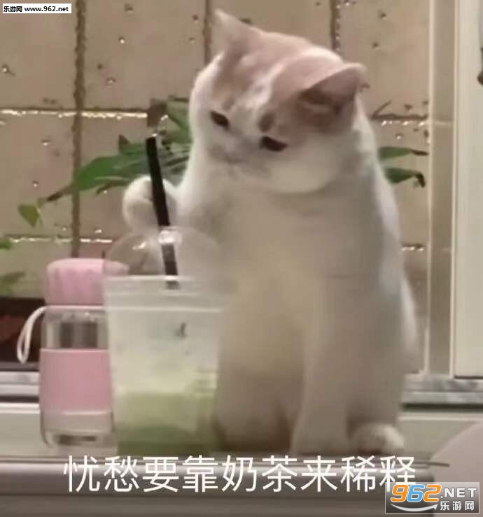 ���ǿ��ֿ��ֵ�С���Ա����