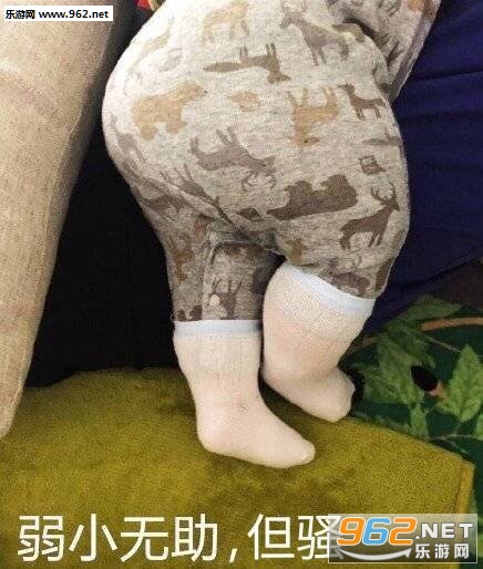 ��С������ɧ�����