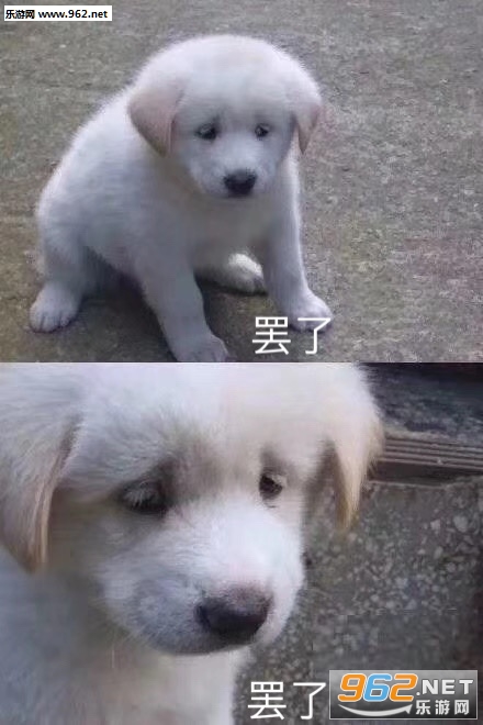ÿ���Ҵ��?��ʱ��ͼƬ�����