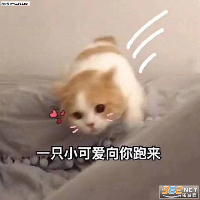 ������ܹ����˱����