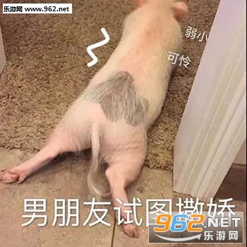 男朋友试图撒娇表情包 男朋友试图撒娇表情包