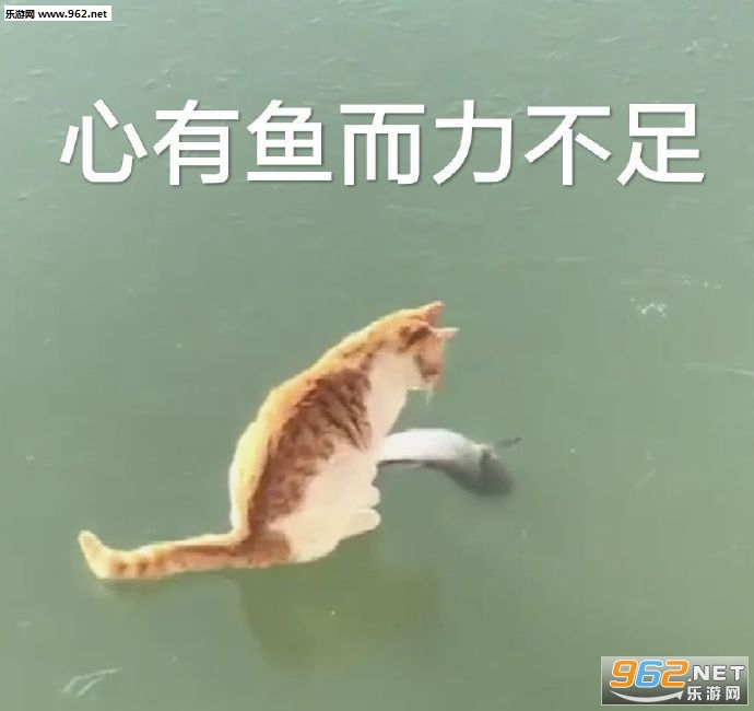 ���ǲ����ڵ�over�����