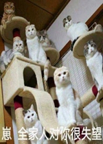 ����ÿ��Һ÷������