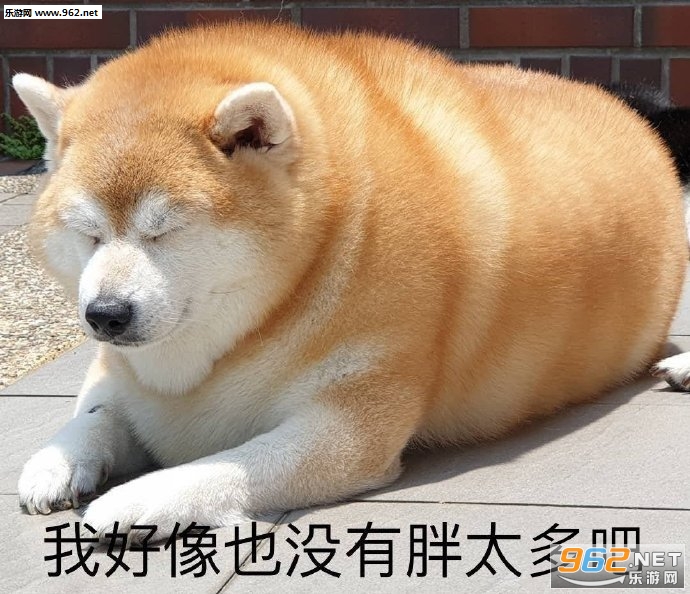 �û�������������ı������ͼ1