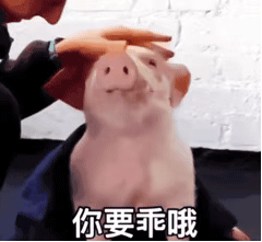 �û�������������ı������ͼ4