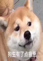 �Һ�˧��ð������