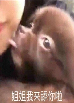 ��������������˱����