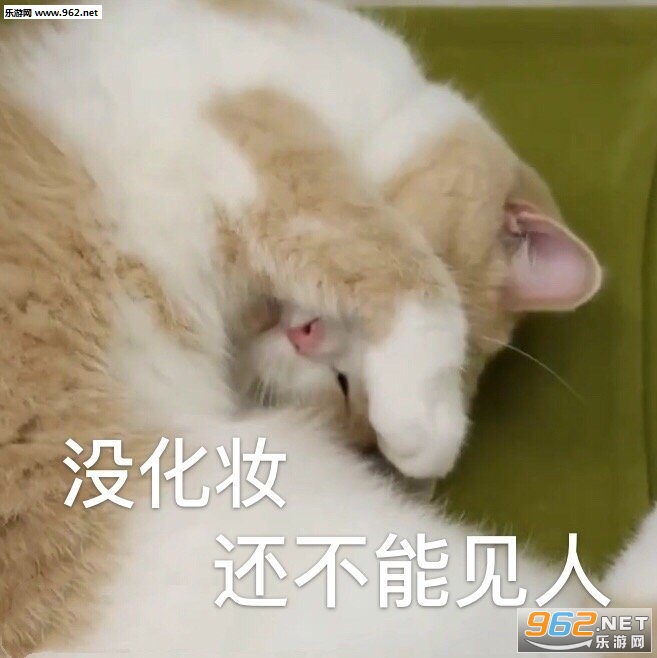 ��û���ı������ͼ4