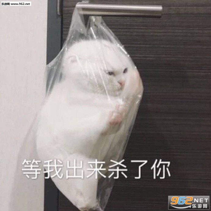 ��û���ı������ͼ6