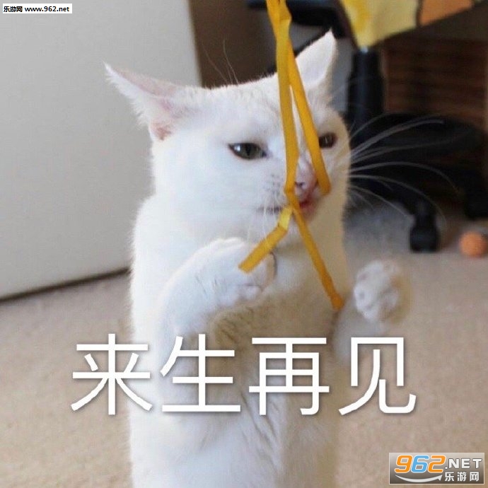 �Ҳ��������С���ӱ������ͼ5