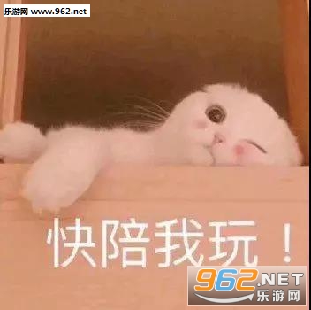 �������ұ������ͼ4