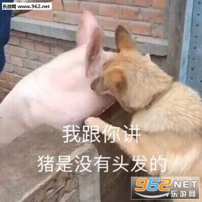 ����ֻ��������˼�ı������ͼ4