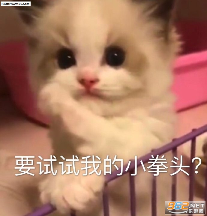 ������������������ͼ7