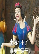 ���ﲻ���˰�ѩ���������