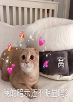 �ҵİ�ʾ����������������