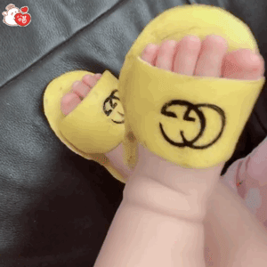 ����С�ű������ͼ