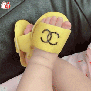 ����С�ű������ͼ