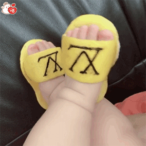 ����С�ű������ͼ