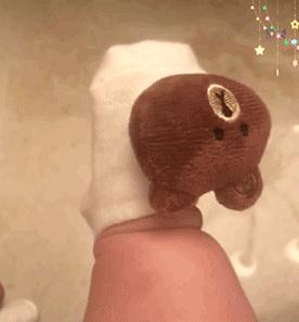 ����С�ű������ͼ��ͼ2
