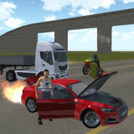 Furious Driving Simulator(�񱩼�ʻģ������׿��)