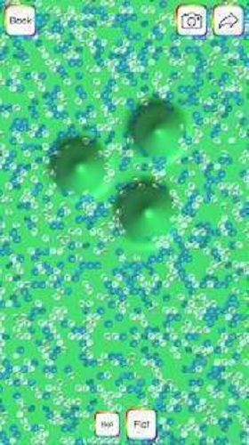 Virtual Slime(����ʷ��ķ����)��ͼ0
