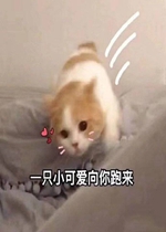 ������ܹ����˱����