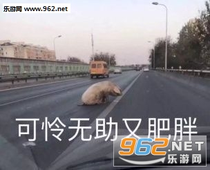 ����˭��������������������ͼ3
