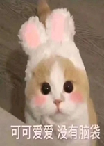 ��������ͼ���������