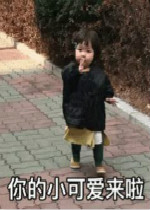 ���С�ɰ����˱������̬
