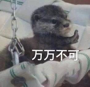 �������ëһ���԰ױ������ͼ4